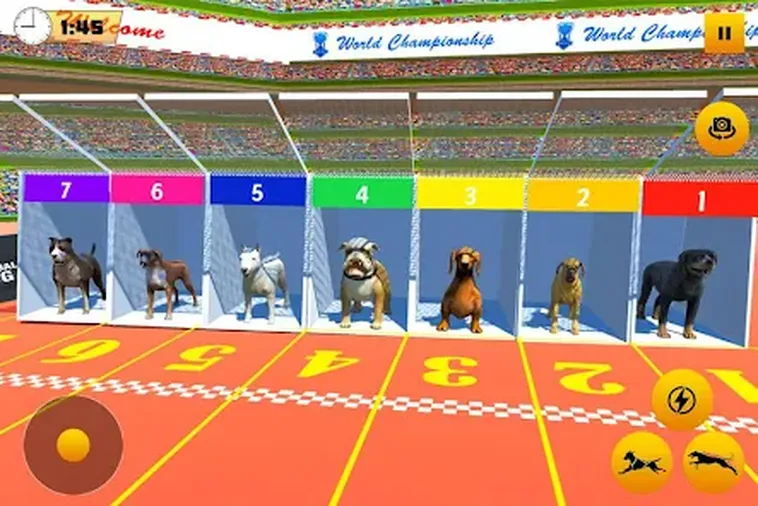 Hướng Dẫn Cách Chơi Game Nhanh Đua Chó Tại U888 Chi Tiết Nhất